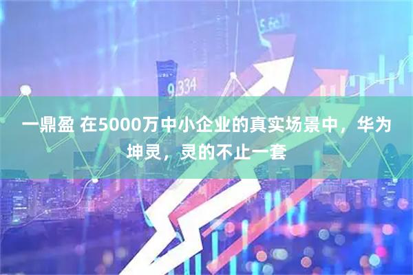 一鼎盈 在5000万中小企业的真实场景中，华为坤灵，灵的不止一套