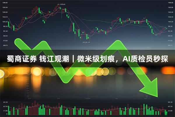 蜀商证券 钱江观潮｜微米级划痕，AI质检员秒探