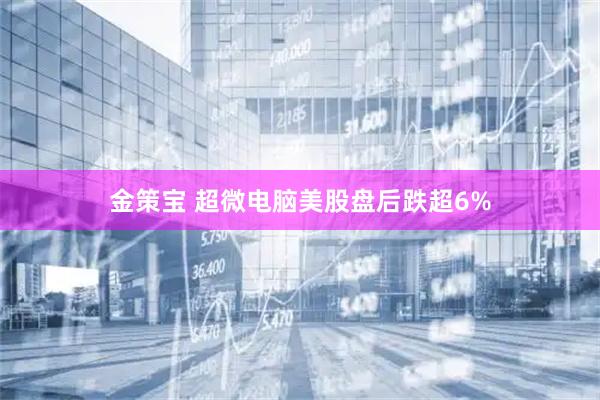 金策宝 超微电脑美股盘后跌超6%