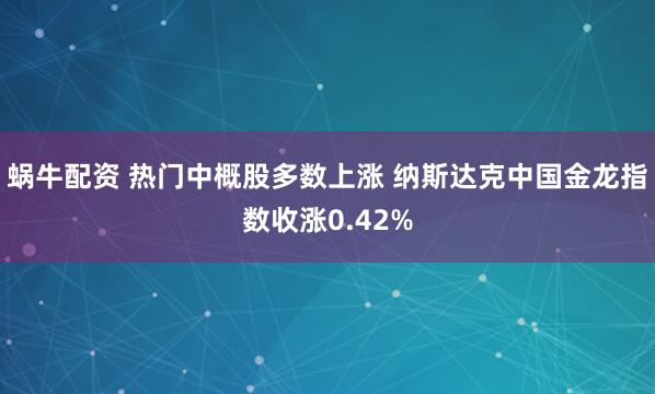蜗牛配资 热门中概股多数上涨 纳斯达克中国金龙指数收涨0.42%