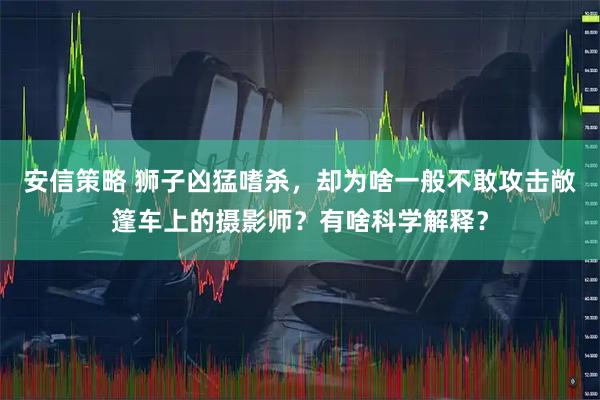 安信策略 狮子凶猛嗜杀,却为啥一般不敢攻击敞篷车上的摄影师?有啥科学解释?