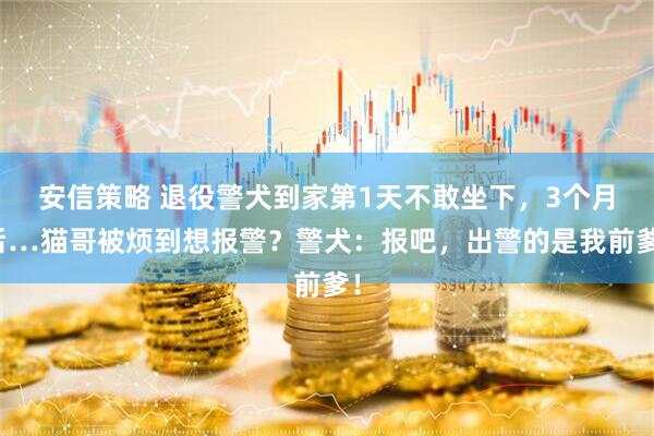 安信策略 退役警犬到家第1天不敢坐下,3个月后…猫哥被烦到想报警?警犬:报吧,出警的是我前爹!