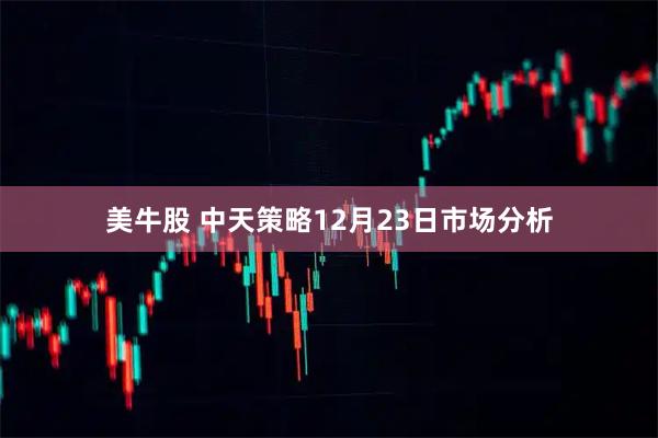 美牛股 中天策略12月23日市场分析