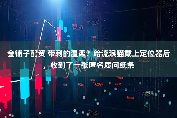 金铺子配资 带刺的温柔？给流浪猫戴上定位器后，收到了一张匿名质问纸条