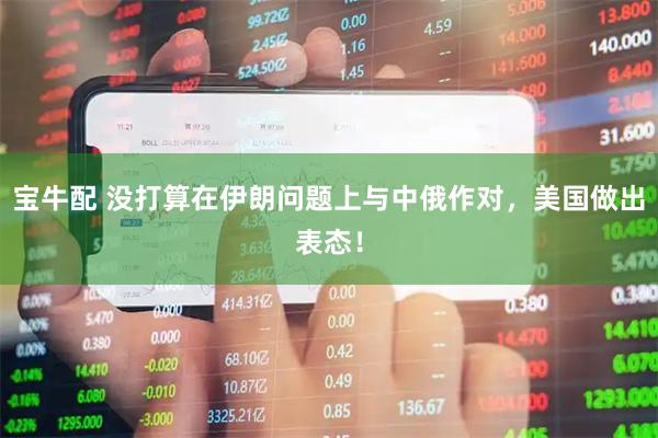 宝牛配 没打算在伊朗问题上与中俄作对，美国做出表态！
